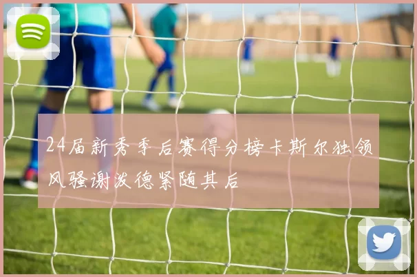 24届新秀季后赛得分榜卡斯尔独领风骚谢泼德紧随其后